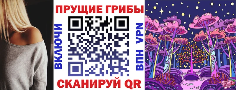 Псилоцибиновые грибы Cubensis  Купить где  Салават 